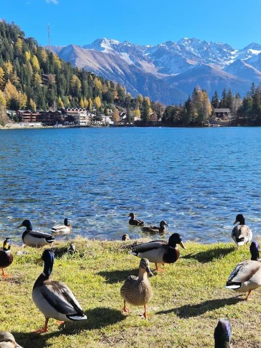 Superbe Appartement Champex-Lac Avec Piscine Et Sauna Esterno foto